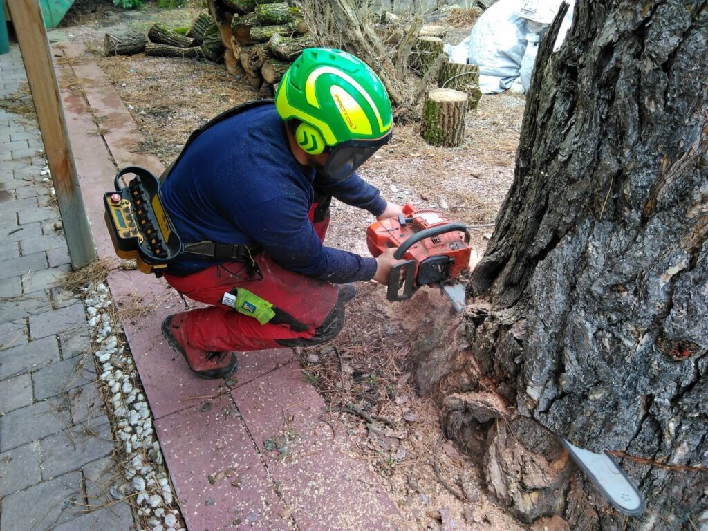 Baumfällung – Referenz 3 von Traumwerk, Balingen