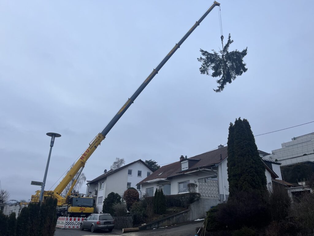Baumfällung – Referenz 6 von Traumwerk, Balingen