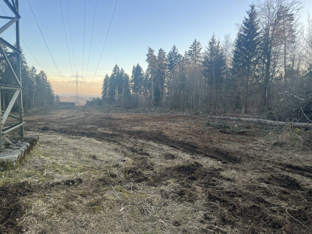 Landschaftspflege – Referenz 4 von Traumwerk, Balingen