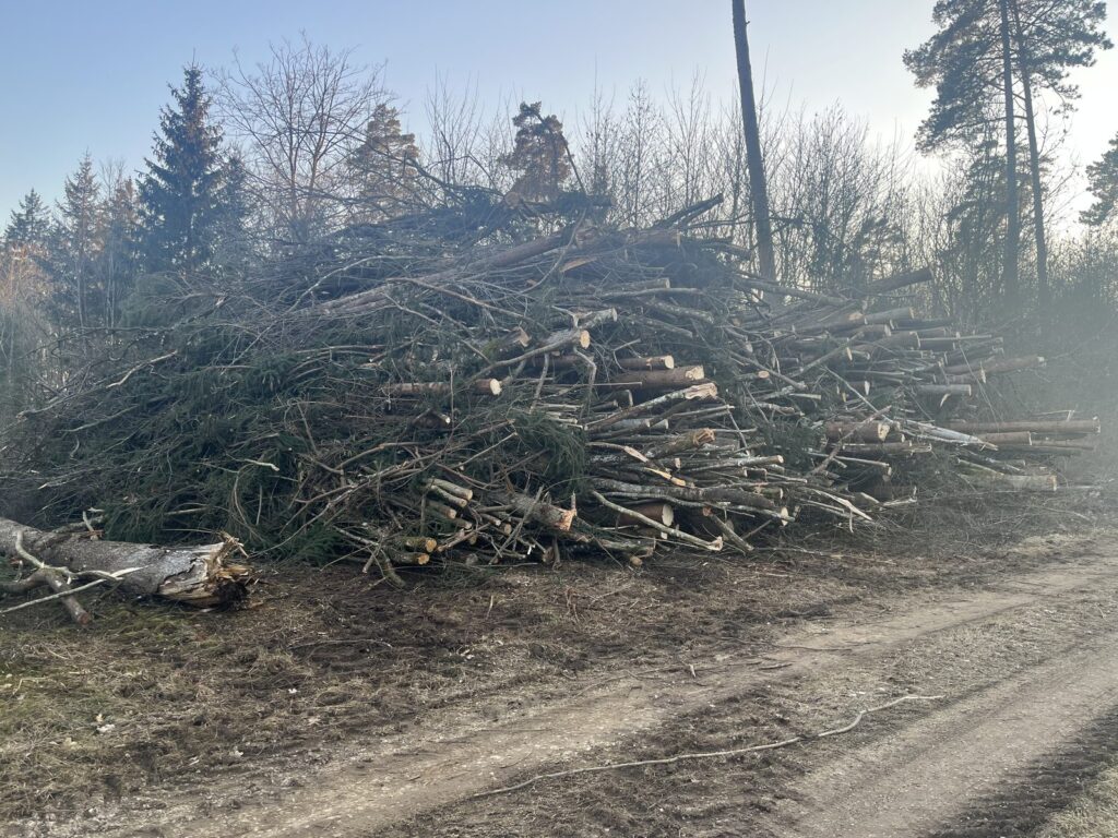 Landschaftspflege – Referenz 5 von Traumwerk, Balingen