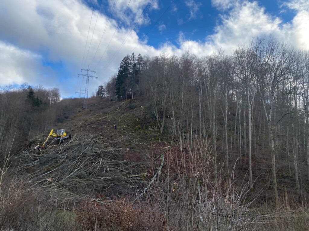 Rodung und Trassenpflege – Referenz 2 von Traumwerk, Balingen