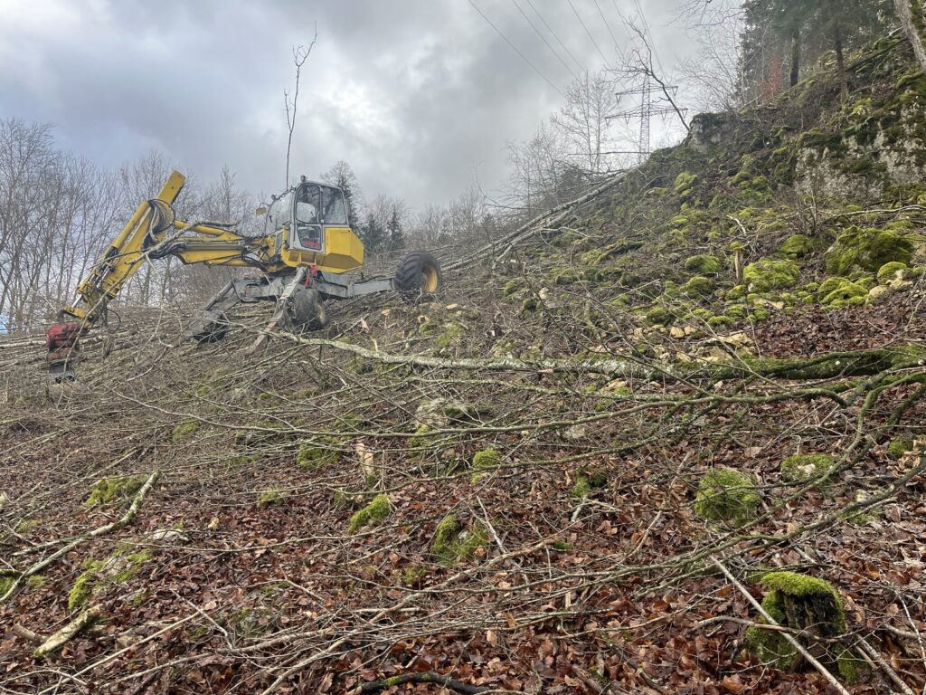 Rodung und Trassenpflege – Referenz 3 von Traumwerk, Balingen