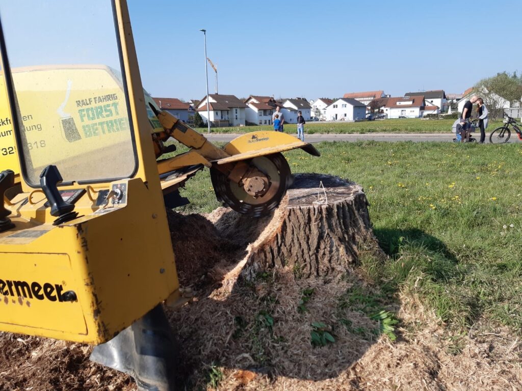 Wurzelstockfräse beim Entfernen eines Baumstumpfs