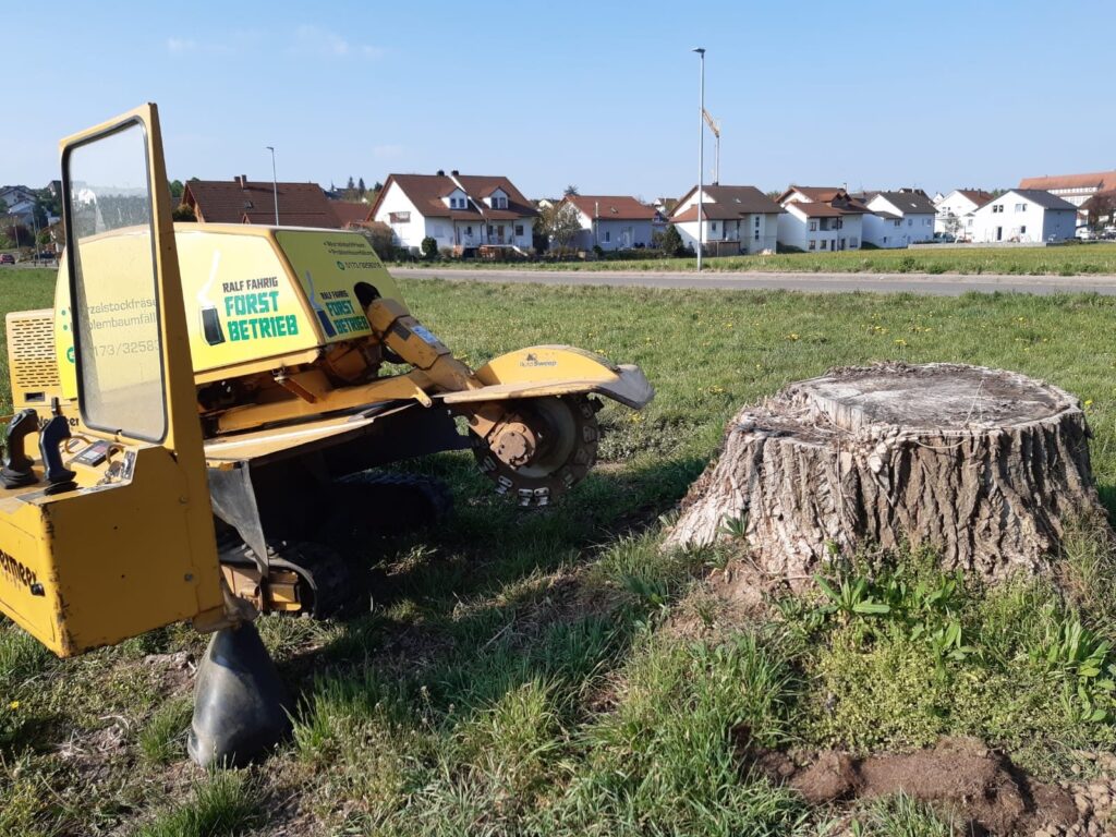 Wurzelstockfräsen – Referenz 2 von Traumwerk, Balingen
