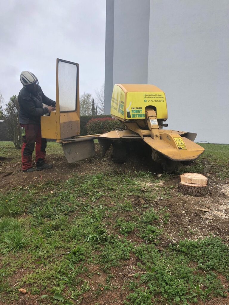 Wurzelstockfräsen – Referenz 3 von Traumwerk, Balingen