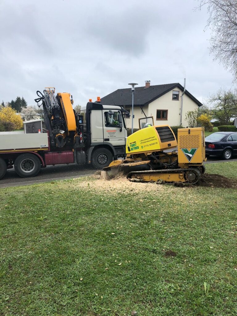Wurzelstockfräsen – Referenz 4 von Traumwerk, Balingen