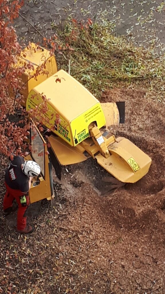 Wurzelstockfräsen – Referenz 8 von Traumwerk, Balingen